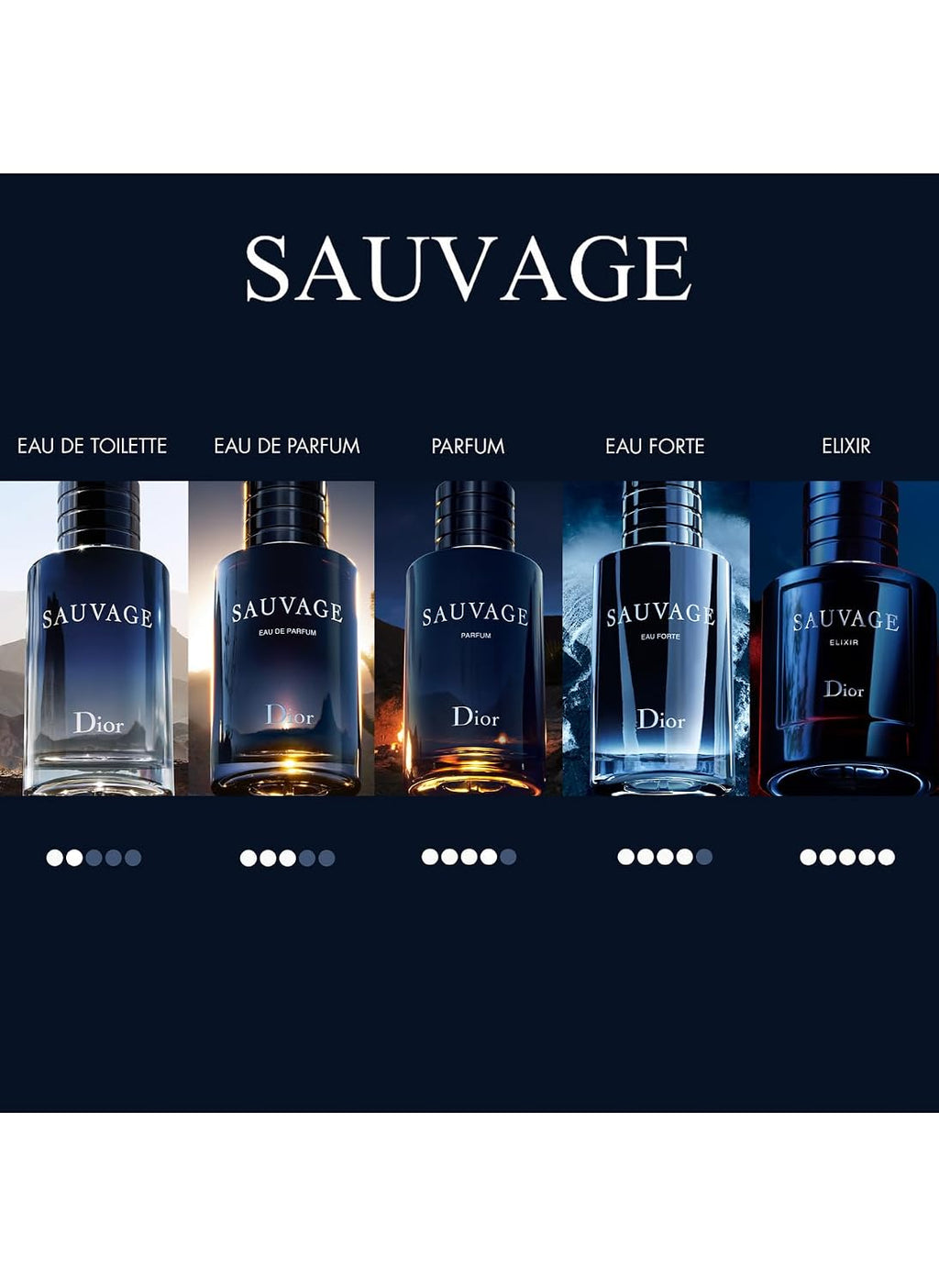 Christian Dior Sauvage Elixir for Men