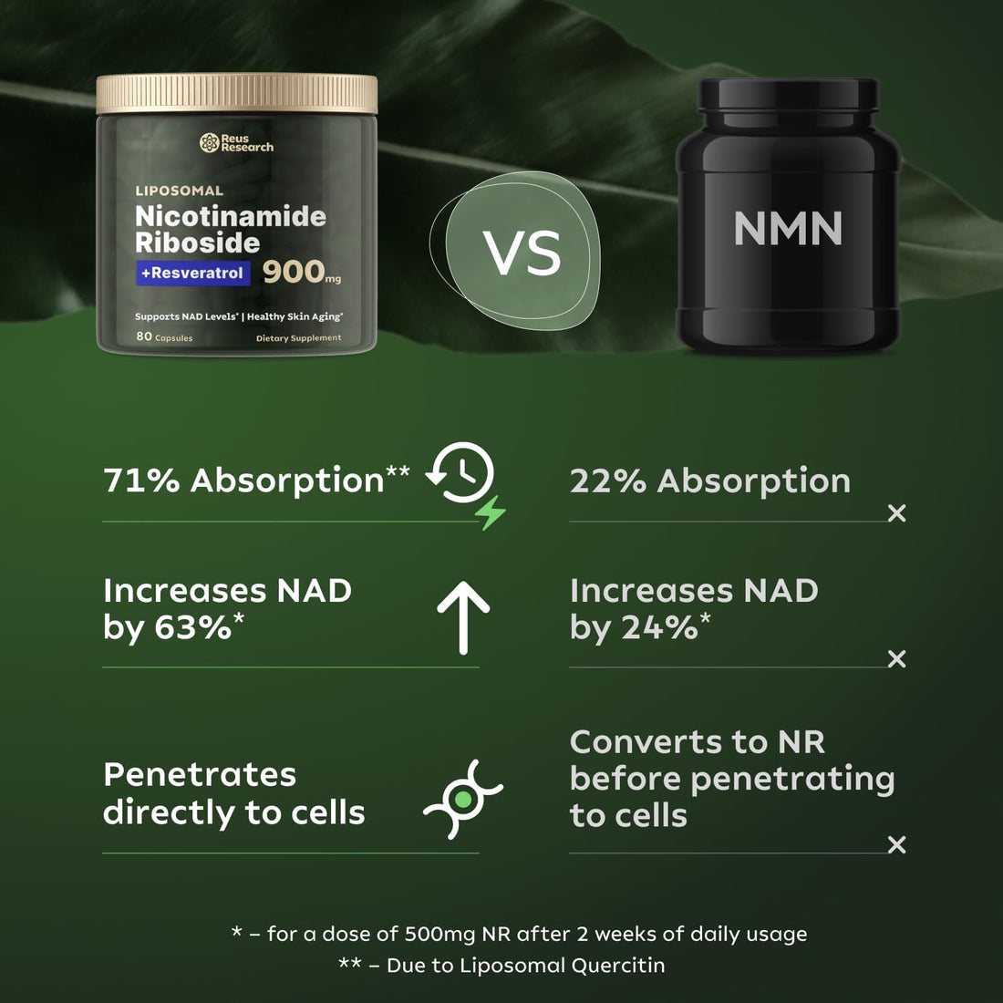 Reus Research NMN Supplement Alternative