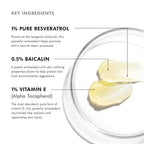 SkinCeuticals Resveratrol B E Night Serum